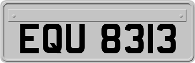 EQU8313