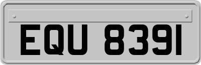 EQU8391