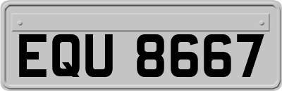 EQU8667