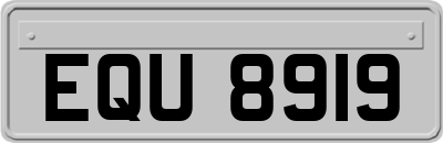 EQU8919