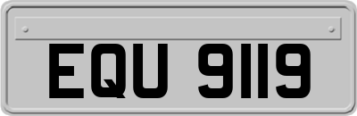 EQU9119