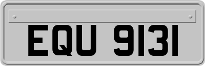 EQU9131