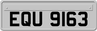EQU9163