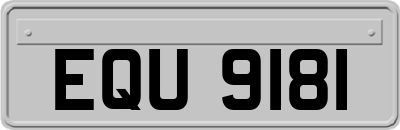 EQU9181