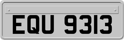 EQU9313