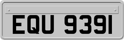 EQU9391