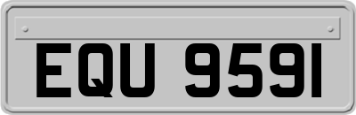 EQU9591