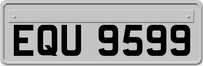 EQU9599