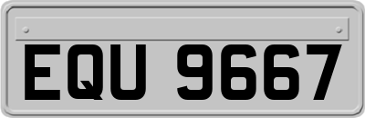 EQU9667