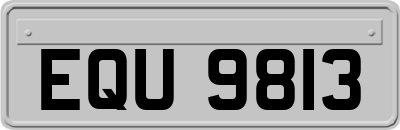 EQU9813