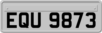 EQU9873