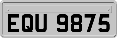 EQU9875