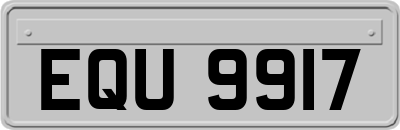 EQU9917