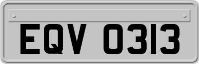 EQV0313
