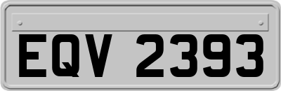 EQV2393