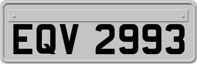 EQV2993