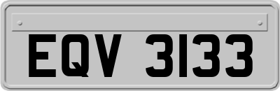 EQV3133