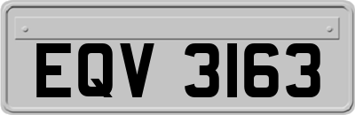 EQV3163
