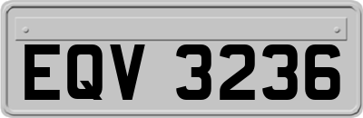 EQV3236