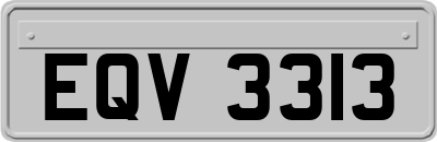 EQV3313