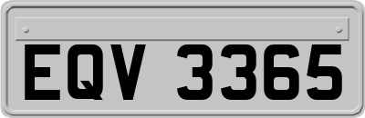 EQV3365