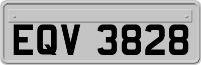 EQV3828