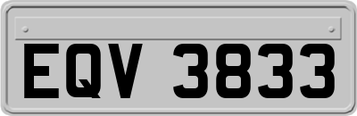 EQV3833