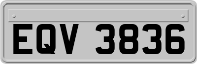 EQV3836