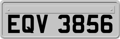 EQV3856
