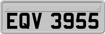 EQV3955