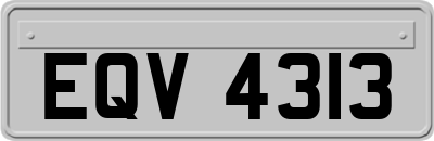 EQV4313