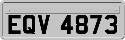 EQV4873