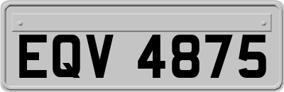 EQV4875