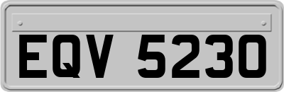 EQV5230