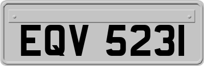 EQV5231