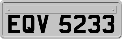 EQV5233