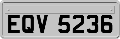 EQV5236