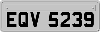EQV5239