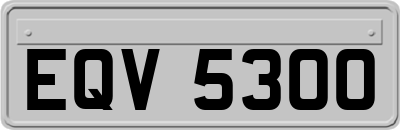 EQV5300