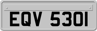 EQV5301