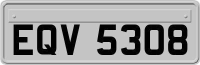 EQV5308