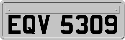 EQV5309