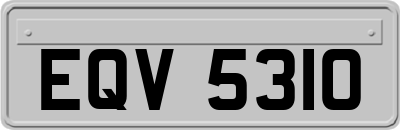 EQV5310