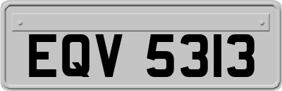 EQV5313