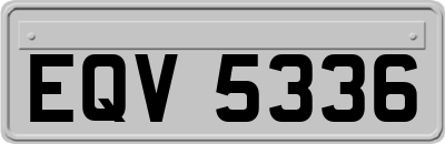 EQV5336