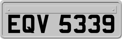 EQV5339