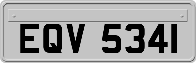 EQV5341