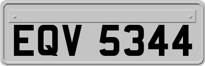EQV5344