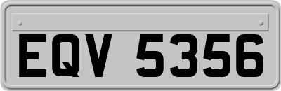 EQV5356