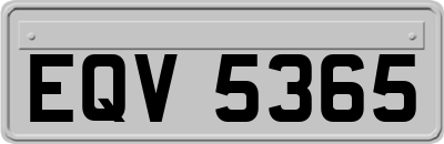 EQV5365